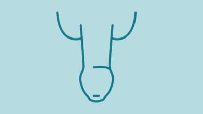 Foreskin Health Logo