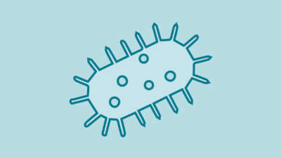 Bv Bacterial Vaginosis