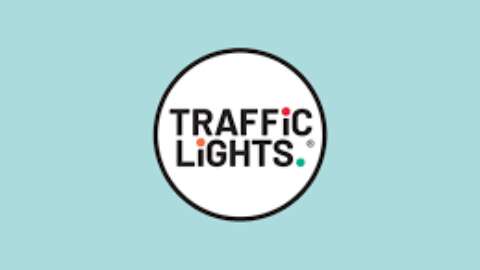 Traffic Light Training